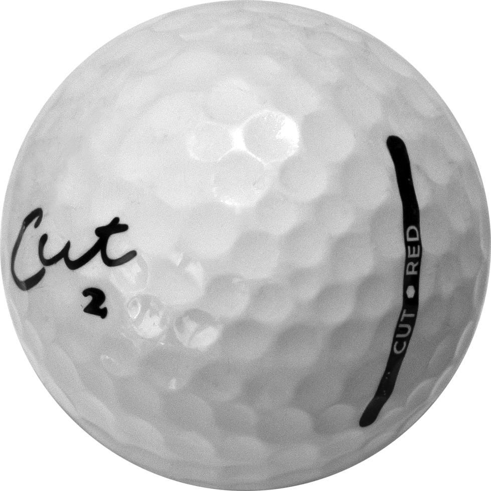 Used CUT White Mix - 1 Dozen golf balls – ZingerGolfBalls.com