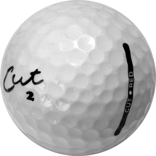 Used CUT White Mix - 1 Dozen golf balls – ZingerGolfBalls.com